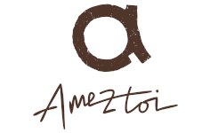AMEZTOI
