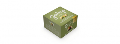 GALUP FARCITO CON CREMA DI PISTACCHI 900 GR